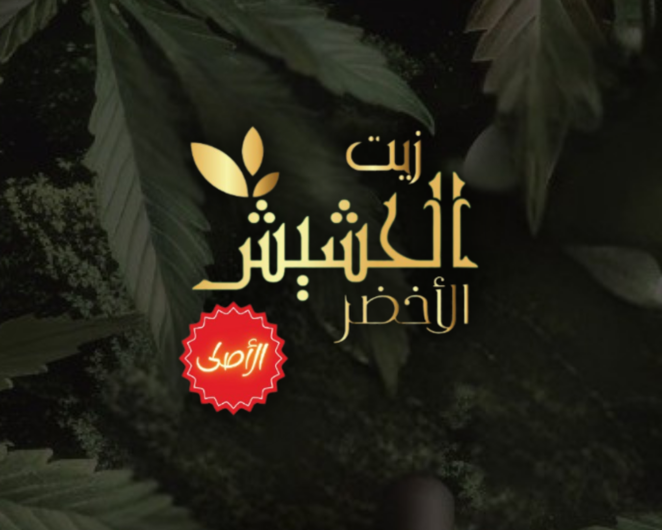 تصميم بدون عنوان (8)